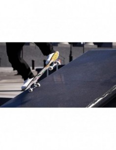 Session : Skate Sim 2