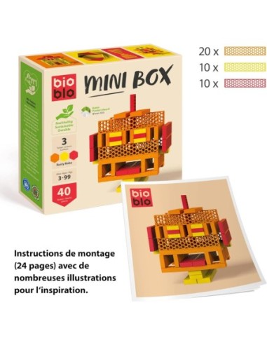 Mini Box - Rusty Robo