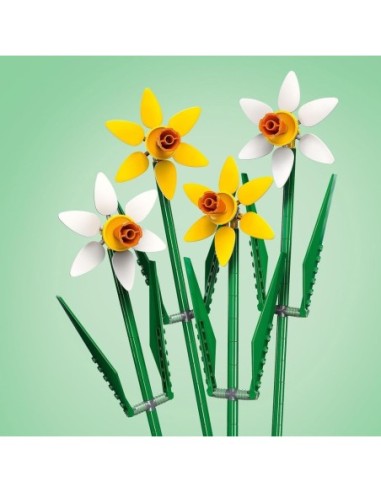 Lego 40747 Botanical Collection - Les...