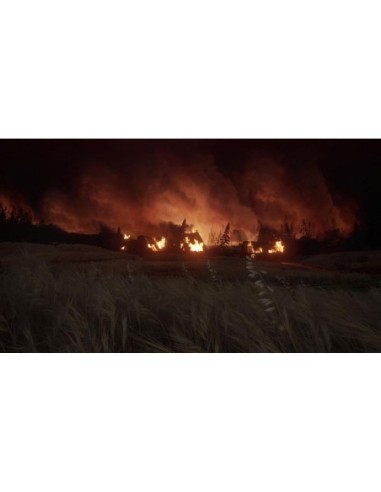 The Last Of Us - Part II Remastered