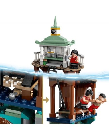 Lego 76420 Harry Potter - Le Tournoi...