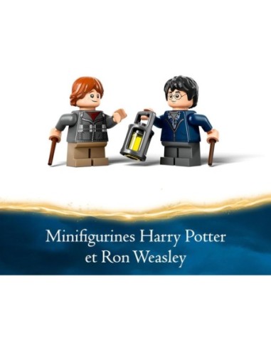Lego 76434 Harry Potter - Aragog Dans...
