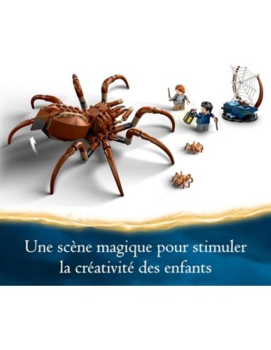 Lego 76434 Harry Potter - Aragog Dans...