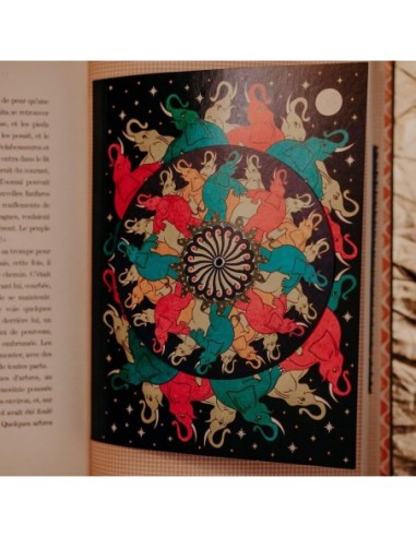 Le Livre De La Jungle - Illustré Par...