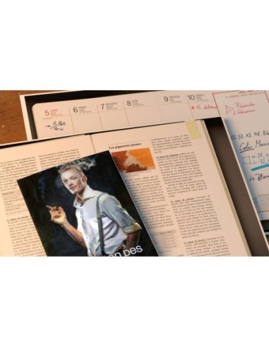 Cold Case - Les Couleurs De L'Oubli