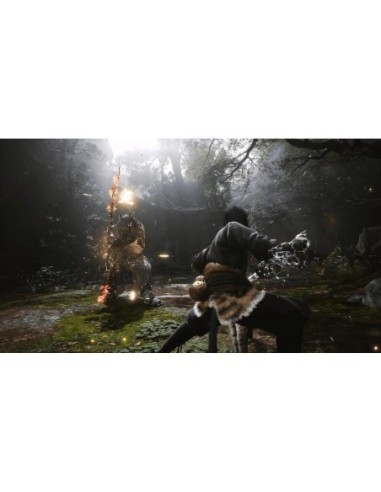 Black Myth Wukong