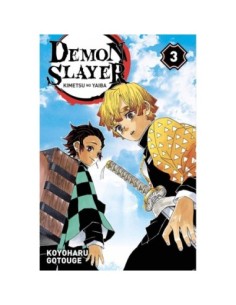Demon Slayer - Tome 3