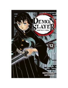Demon Slayer - Tome 12