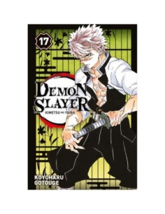 Demon Slayer - Tome 17