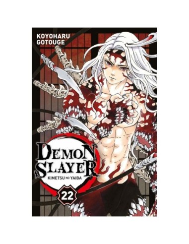 Demon Slayer - Tome 22