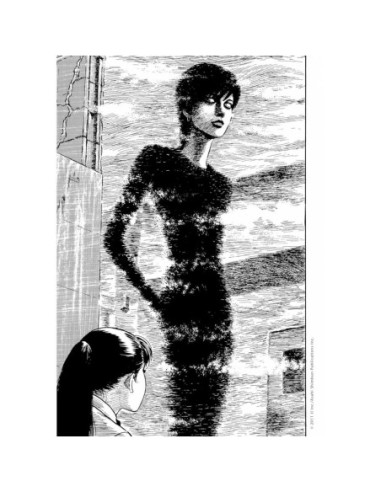 L'Amour Et La Mort - Junji Ito - One...