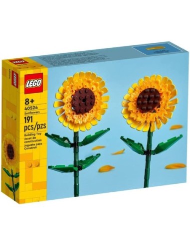 LEGO 40524 Botanical Collection -...