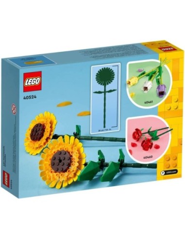 LEGO 40524 Botanical Collection -...