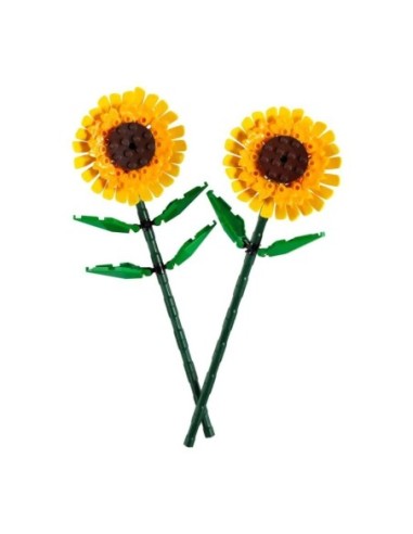 LEGO 40524 Botanical Collection -...