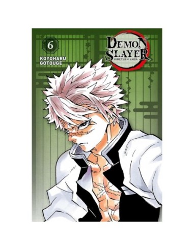 Demon Slayer Tome 6 - Edition Pilier