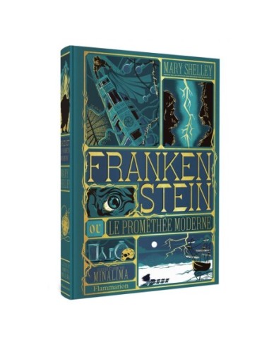 FRANKENSTEIN - Illustration par Minalima