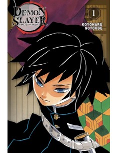 Demon Slayer Tome 1 -...