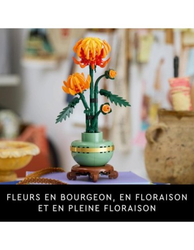 Lego 10368 Botanical Collection -...