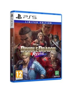 Double Dragon Revive