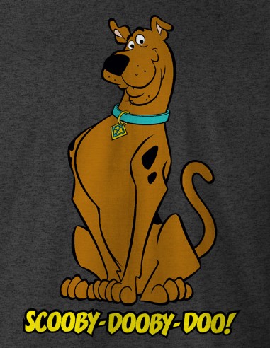 TEE SHIRT SCOOBY DOO