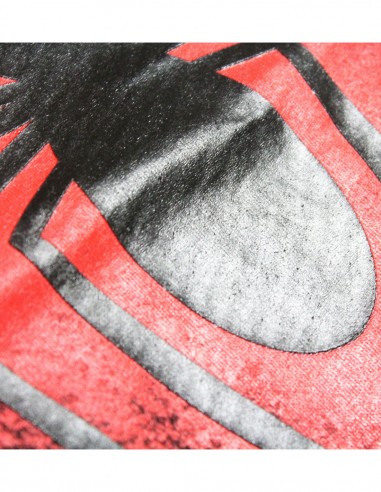 TEE SHIRT SPIDERMAN
